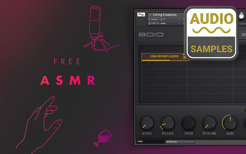 8Dio ASMR KONTAKT Library (FREE)